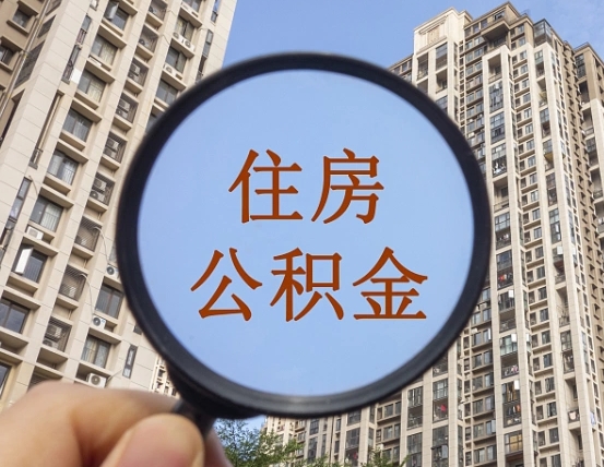 合肥退休后查不到公积金明细了吗（退休后公积金查询不到原因）